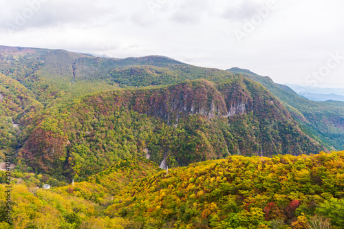 View of forest in autumn season on cable car at Akechidaira plateau. Nikko.