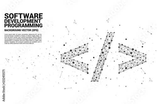 Vector Polygon software development programming tag icon with dot connect line. Concept for Programming language technology and coding.