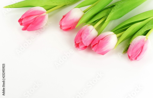 Flowers background. bouquet of pink tulips on a white background. top view. copy space. Holiday concept.