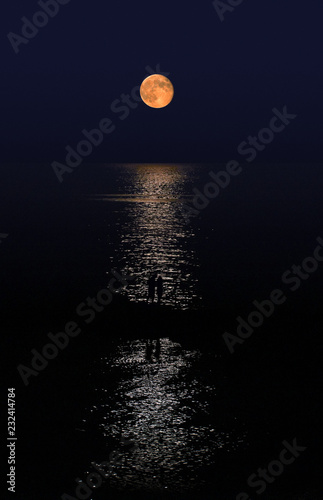 Couple under the moonlight photo