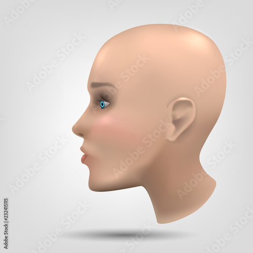 The head of a human or an anthropoid robot. Dummy. Concept: 3d modeling, humanoid robots, beautiful face.