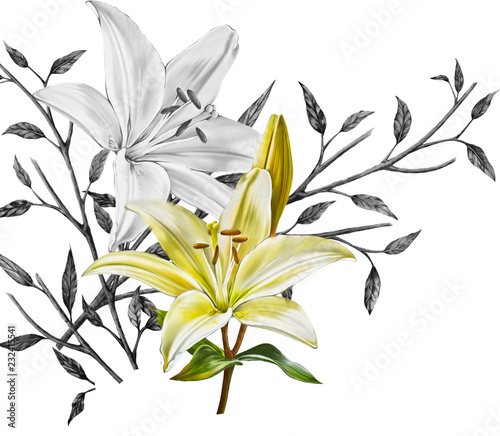 Lily flowers with yellow and gray colors