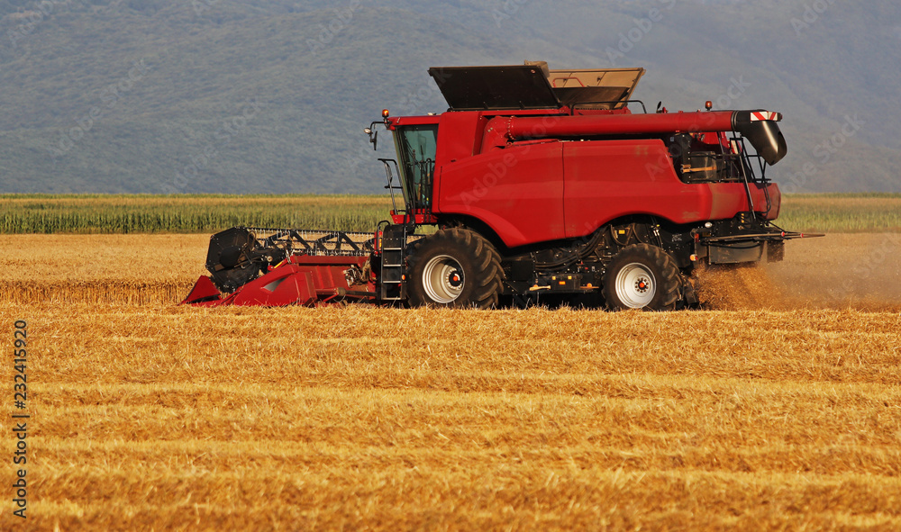 Obraz premium Harvester in the wheat field