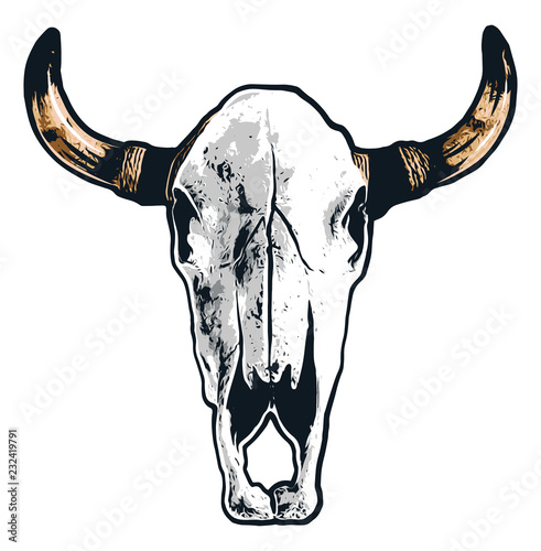 Realistic Steer Skull