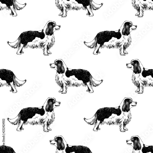 Seamless pattern with Hand drawn King Charles Spaniels