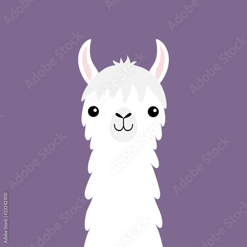 Llama alpaca animal face neck. Fluffy hair fur. Cute cartoon funny kawaii character. Childish baby collection. T-shirt, greeting card, poster template print. Flat design. Violet background.