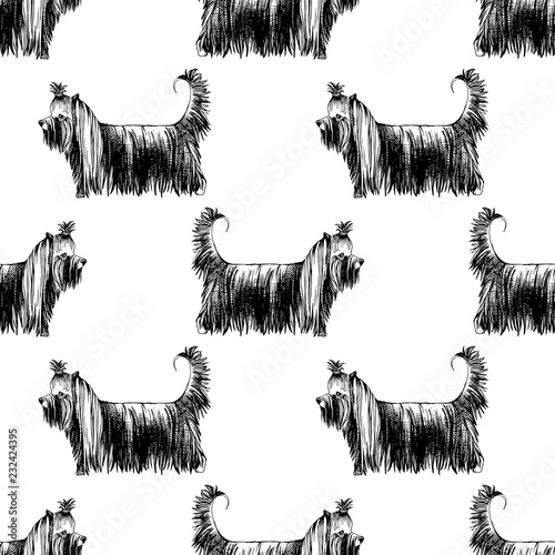 Seamless pattern with hand drawn Yorkshire Terriers