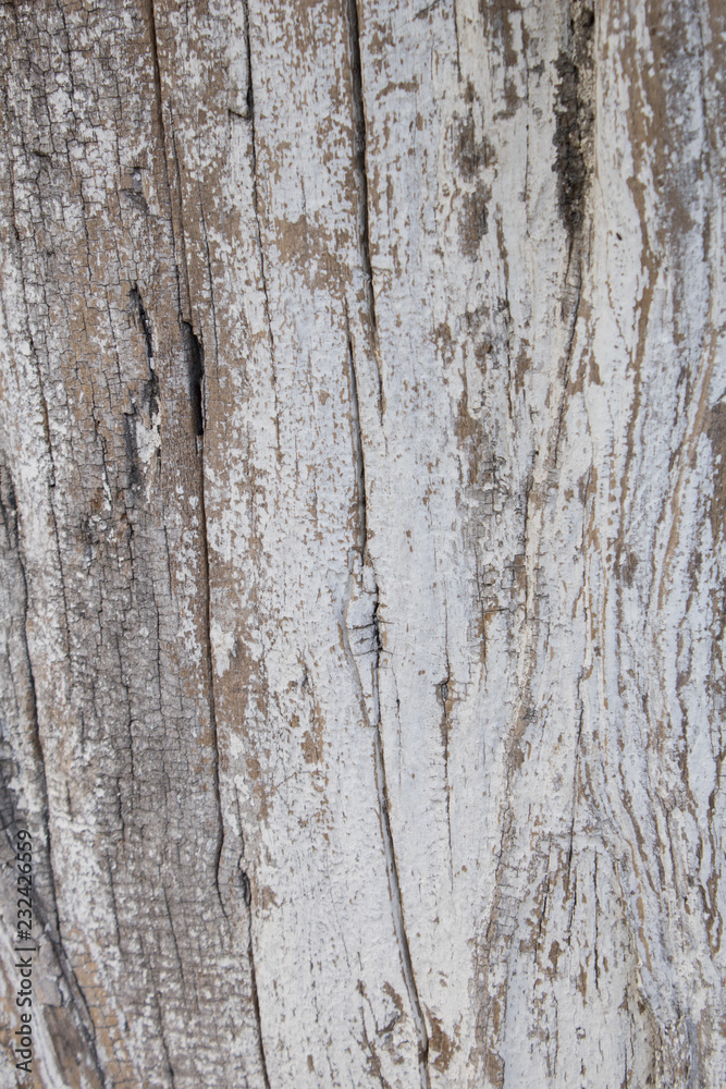 texture of old wood texture of old wood