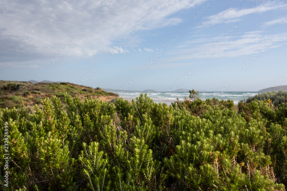 Late afternoon on Cotters Beach, Wilsons Promotory, Victoria, Australia.