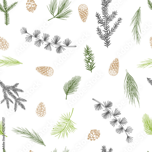 Vector  seamless pattern with hand drawn Christmas plants