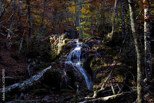  Waterfall in the forest in autumn. Dry trees, green moss and thin streams of clear water in the waterfall. Quiet deserted autumn forest and waterfall.  photo