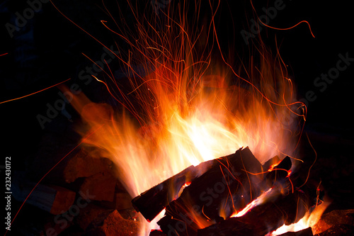  A bonfire burns at night during a picnic in the forest. Bright, orange and yellow fire in the fire. Languages ​​of the tribe in the fire in nature. 