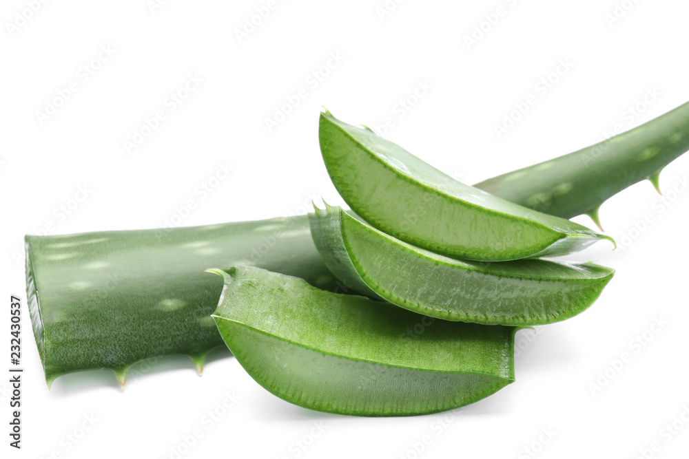 Fresh aloe vera leaves on white background Fresh aloe vera leaves on white background