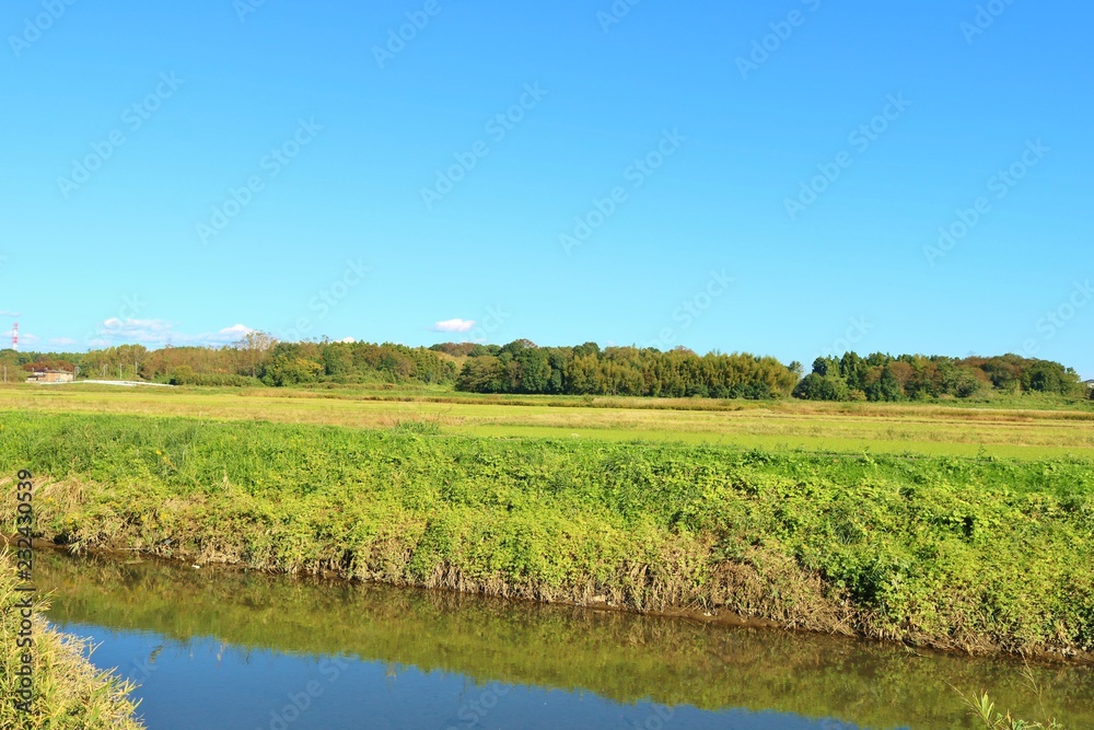 Fototapeta premium 風景 川 青空 茨城
