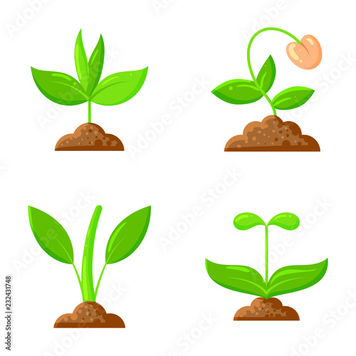 Sprout flat icons plant orgainc sapling vector set photo