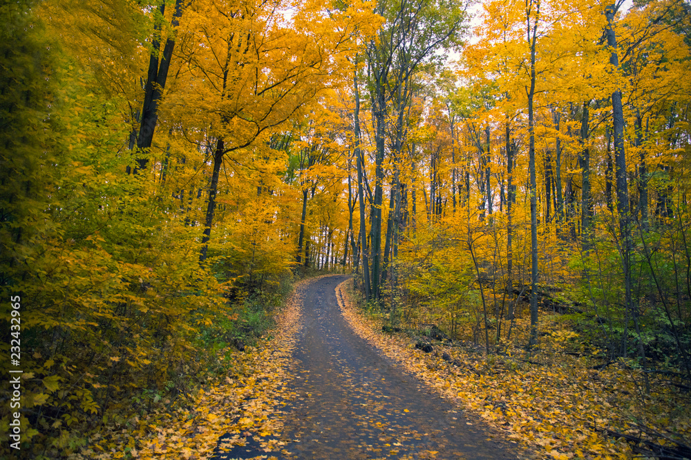 Fototapeta premium Fall Colours in Canada