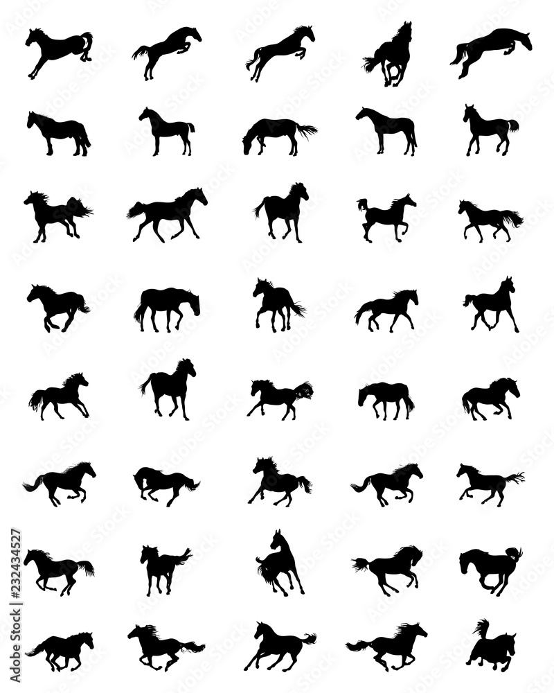 Fototapeta premium Black silhouettes of horses on a white background