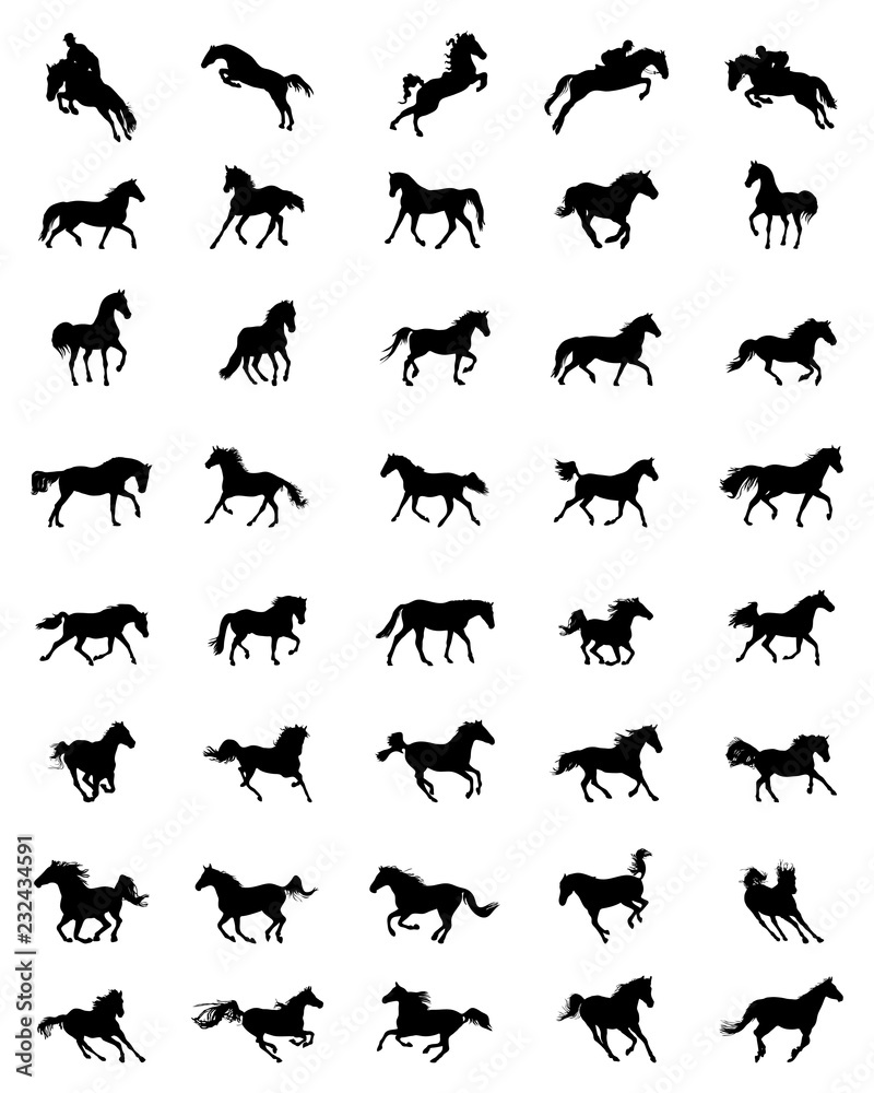 Black silhouettes of horses on a white background Black silhouettes of horses on a white background