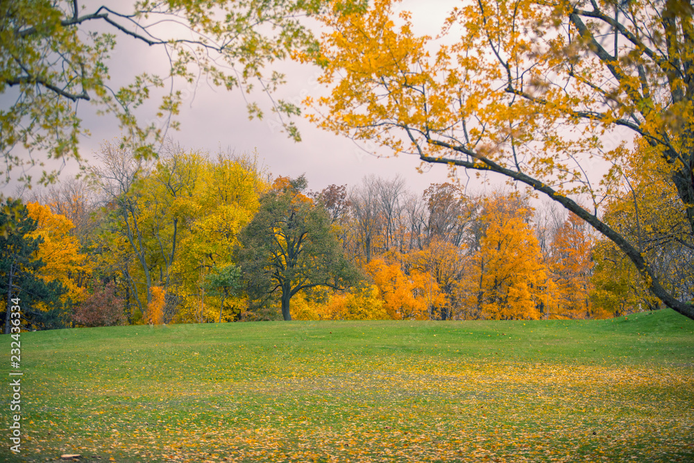 Fototapeta premium Fall Colours in Canada