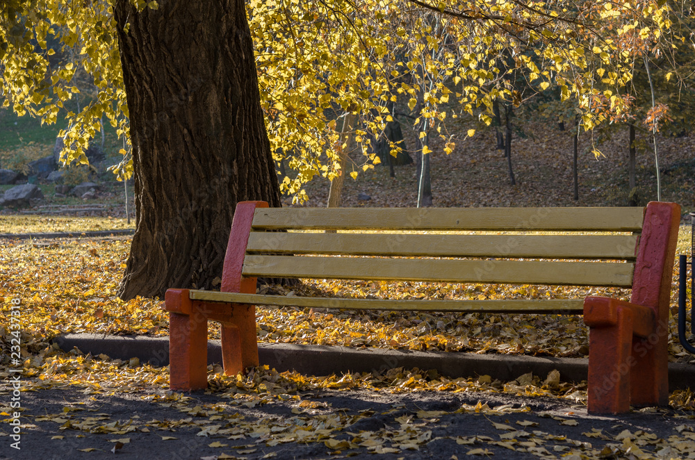 Yellow lonely bench in the autumn park under the crown of a yellowed tree and against the background of fallen leaves. Yellow lonely bench in the autumn park under the crown of a yellowed tree and against the background of fallen leaves.