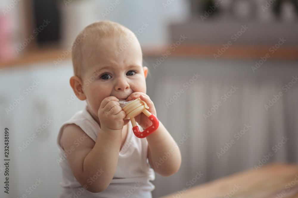 Baby first teeth gnaws fruit in safe device, food Baby first teeth gnaws fruit in safe device, food
