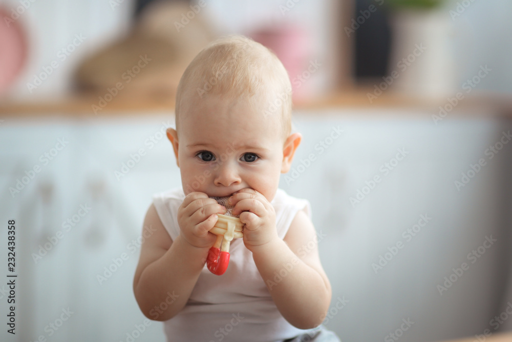 Baby first teeth gnaws fruit in safe device, food Baby first teeth gnaws fruit in safe device, food