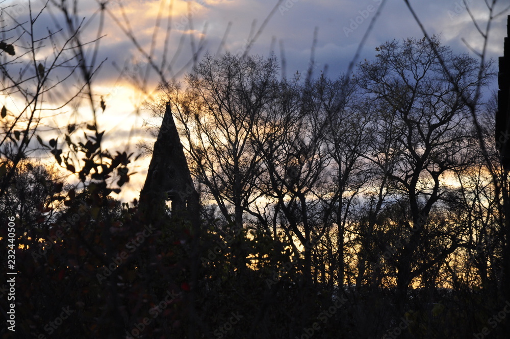 Obraz premium заморозки