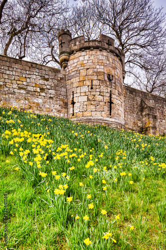 York City Walls in Spring