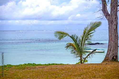 Payasages et plages tropicales