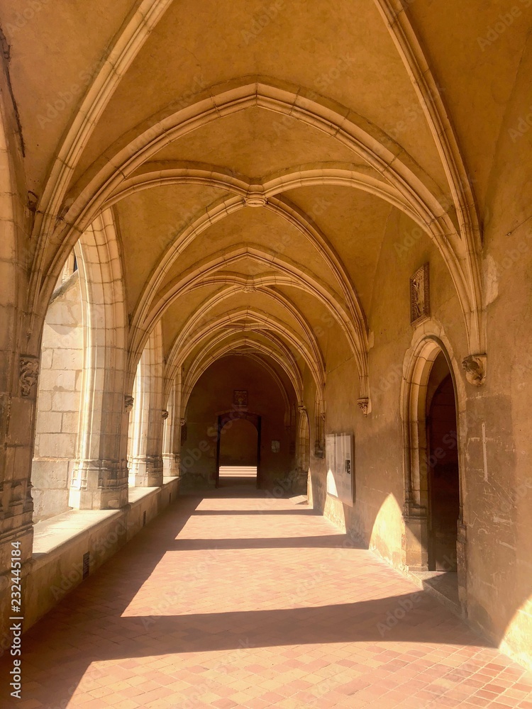 Archi gotici del Chiostro del Monastero reale di Brou, Bourg-en-bresse, Francia