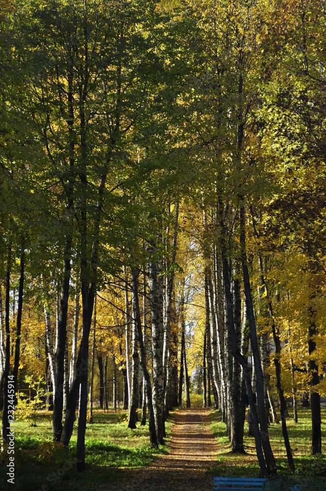 Obraz premium стекло