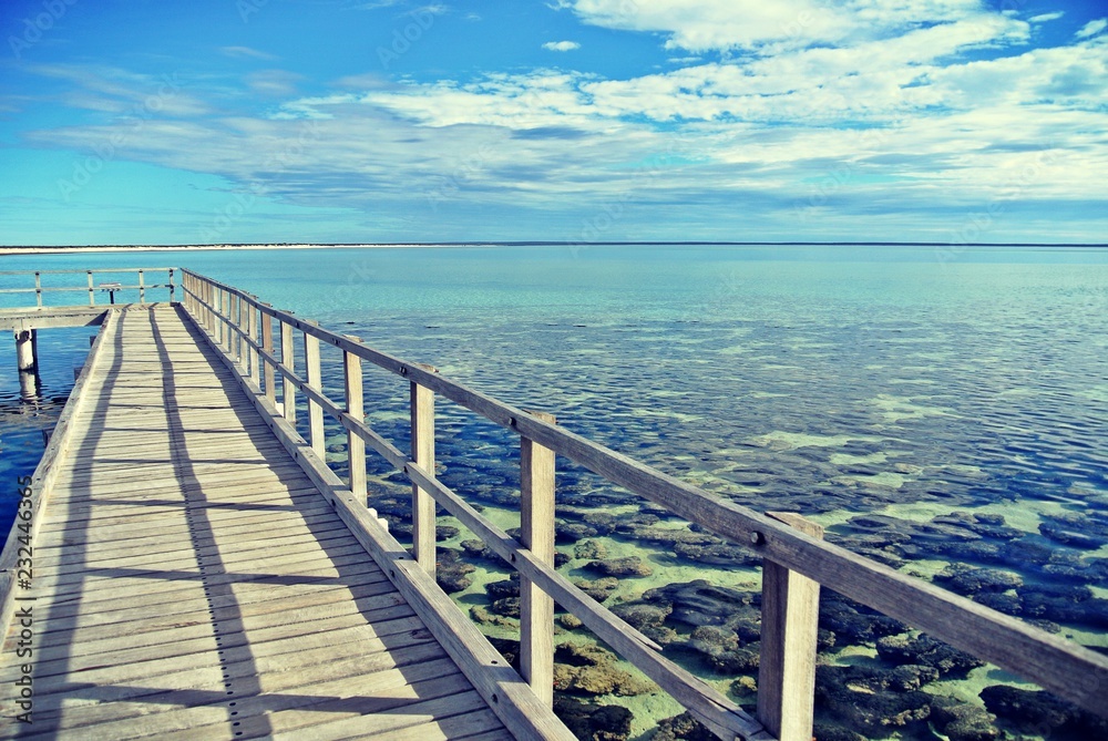 Fototapeta premium Stromatolites in Shark Bay, Western Australia