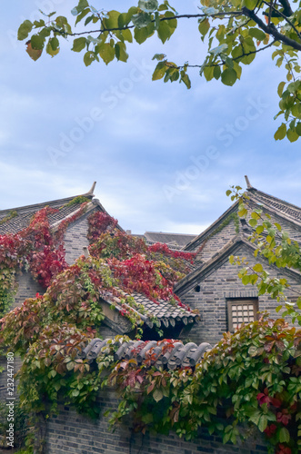 Red leaves and roof of Wtown Beijing,china 