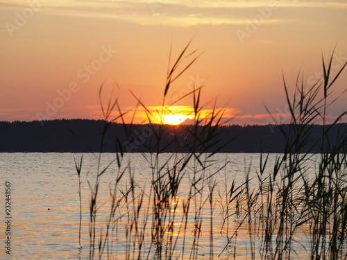 Fototapeta Naklejka Na Ścianę i Meble -  Sunset on the big river. Summer, Russia, Ural, Perm Region