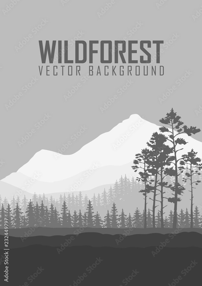 Wild coniferous forest flyer background. Pine tree, landscape nature, wood natural panorama. Outdoor camping design template. Vector illustration - obrazy, fototapety, plakaty 