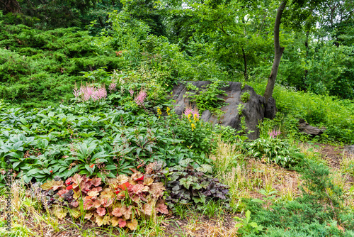 Strawberry Fields garden in Central Park  NYC