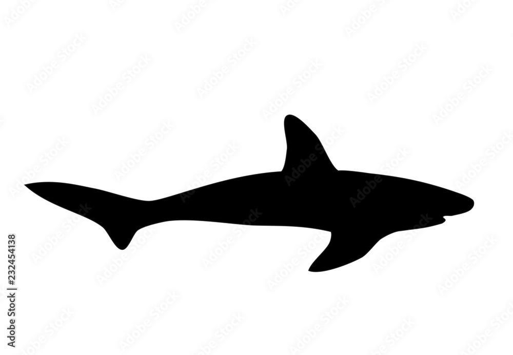 Shark black silhouette on white, vector eps 10
