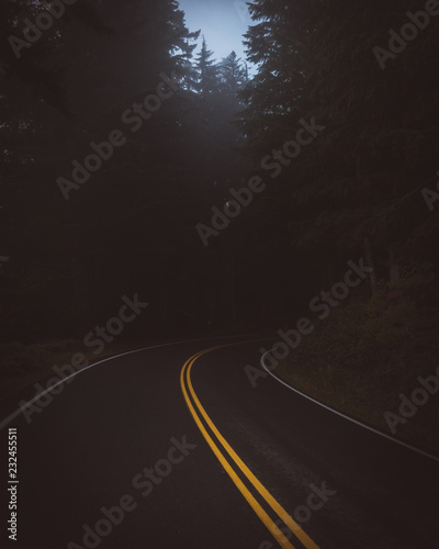 Fototapeta Naklejka Na Ścianę i Meble -  American road through Mt Rainier National Park, Washington, USA