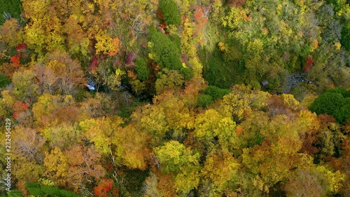 岐阜県　阿弥陀ヶ滝　紅葉　2018 ドローン空撮