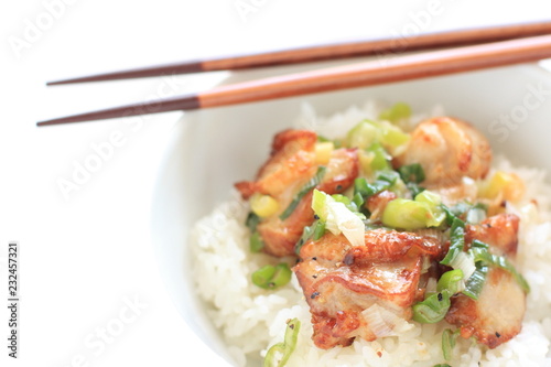 Asian  food, scallion and chicken stir fried on rice