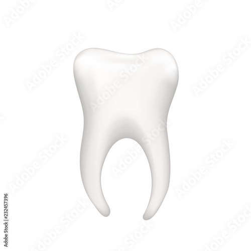 Bright realistic human teeth isolated on white