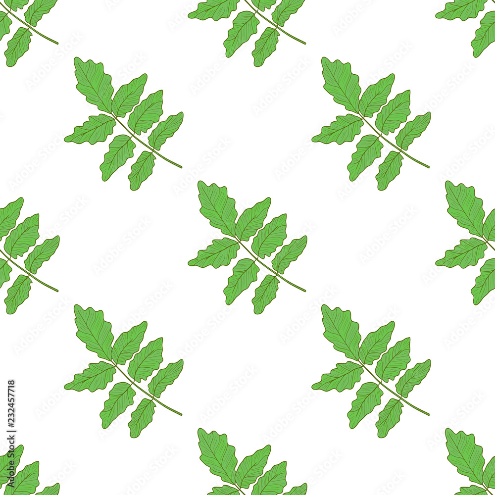 Boswellia. Green leaves on white background. Wallpaper, seamless Boswellia. Green leaves on white background. Wallpaper, seamless