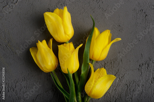 Yellow beautiful tulips on grey background with space for text #232458316