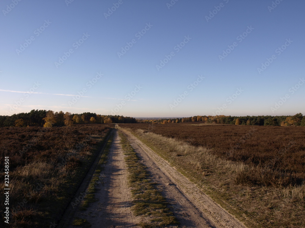 Naklejka premium Heide Hamburg