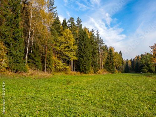 Fototapeta Naklejka Na Ścianę i Meble -  Green glade in a large autumn Park