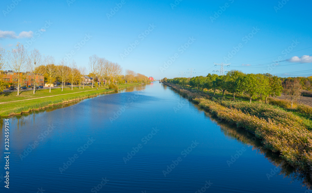 Trees along the shore of a canal in a city in sunlight at fall Trees along the shore of a canal in a city in sunlight at fall