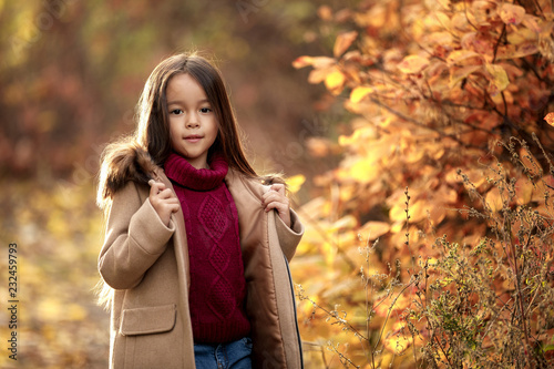 little girl playing with autumn fallen leaves