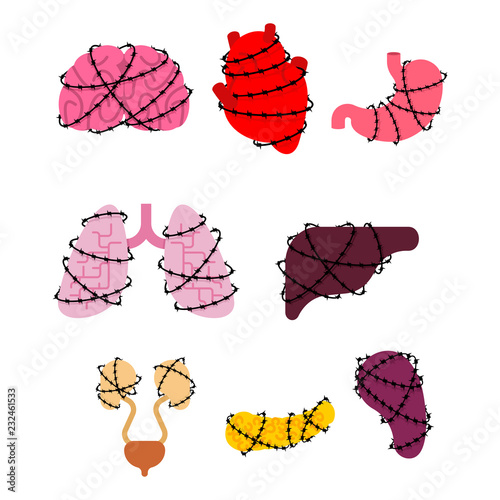 Sick Internal Organs and barbed wire set. Heart and brain. Liver and stomach. Esophagus and pancreas. Kidney and spleen. Lungs. Systems of man body and organ. Human anatomy