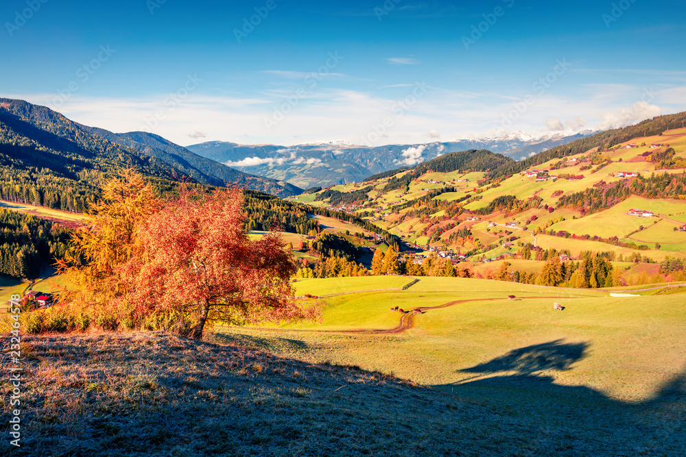 Beautiful autumn view of Santa Maddalena village. Colorful morning landscape of Dolomite Alps, Italy, Europe. Beauty of countryside concept background. Beauty of countryside concept background.