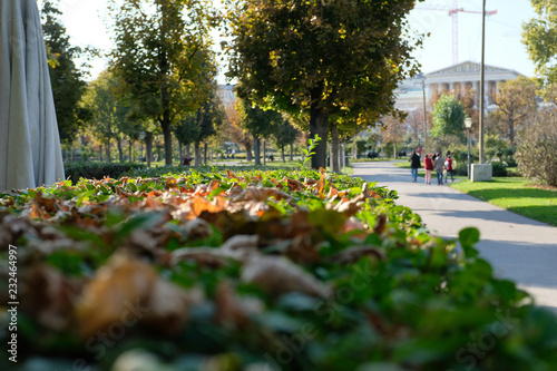 Herbst im Schweizergarten, Vienna, 2018